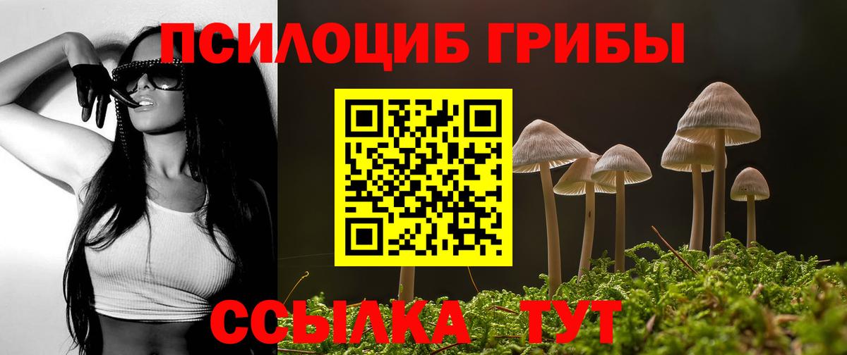 Люберцы  Галлюциногенные грибы прущие грибы  Вход с VPN  Псилоцибиновые грибы GOLDEN TEACHER 