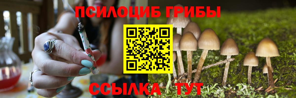 Галлюциногенные грибы мицелий Люберцы